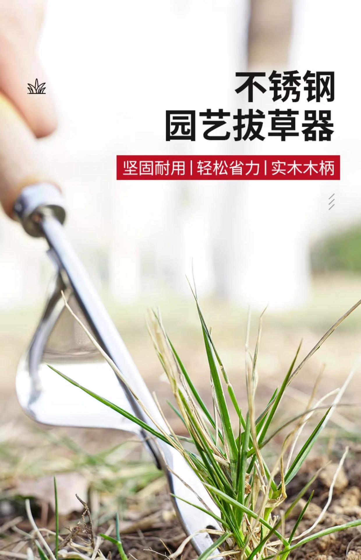 详情图02.jpg