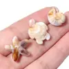 Cuentas Acrílicas Beige Serie Océano Agujero Recto Accesorios para Joyería DIY Pulsera Collar de Tortuga y Caracola Cuentas Sueltas