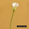 Mini lirio de cala artificial de PU flor con tacto real flor falsa venta al por mayor boda decoración de fotografía para el hogar lirio de cala artificial