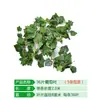 Folhas Simuladas, Rattan, Folhas de Uva, Vinhas, Folhas Verdes, Tubos de Decoração de Teto, Plantas Verdes Bloqueadoras, Flores Simuladas por Atacado