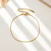 Colar Pulseira Corrente Cobra Redonda de Aço Inoxidável Popular da Amazon Titânio Aço Joias DIY Estilo Clássico Ins Europeu e Americano