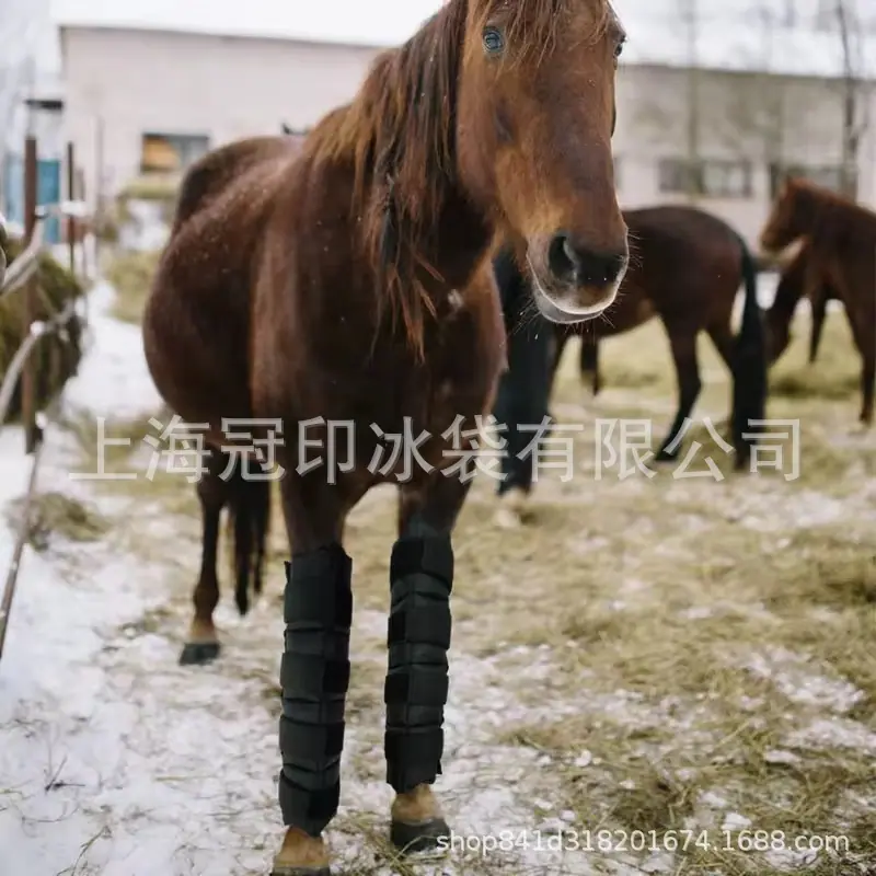 微信图片_20250922130458_229_23.jpg