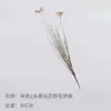 Simulação de Grama Cauda de Cachorro Hairy Cordyceps Flor de Renda Planta Verde Artificial Decoração Paisagem