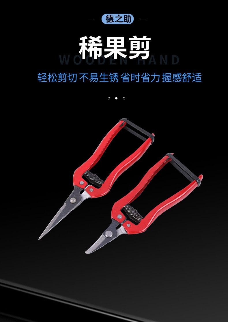 详情-01.jpg
