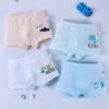 Calzoncillos tipo bóxer de PP transpirable de malla para niños, Tallas Pequeña, Mediana, Grande, para Niños de 15 años, Talla Infantil 3-4, con Agujeros Transpirables