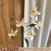 Venta al por mayor transfronteriza de orquídeas Bandai: Orquídeas artificiales Bandai de alta calidad, perfectas para decoraciones de bodas, arreglos de hibiscos y ramos de novia