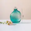 Vaso de vidro simples e irregular vintage, transparente, estilo hidropônico, flor, utensílios para arranjos florais, ornamentos decorativos de mesa