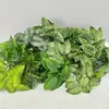 Plantas verdes artificiales, hojas de rábano verde, taro de hojas coloridas, plantas colgantes, plantas de pared, plantas decorativas de suelo, hojas de manzana verde, hojas decorativas, plantas en maceta