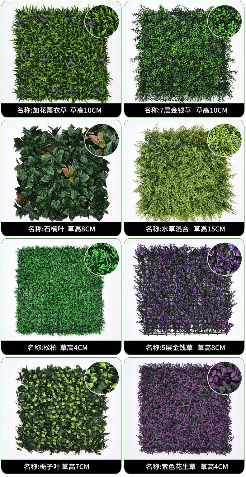 植物墙_15
