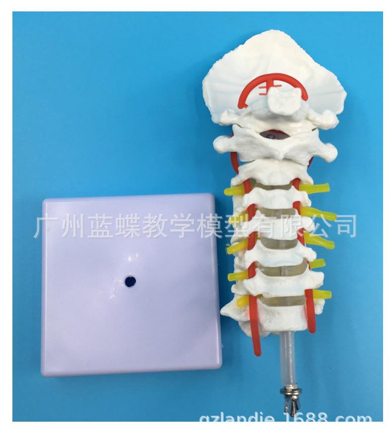 详情_09.jpg