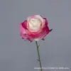 Flor Artificial Rosa Redonda de Cabeça Única Rosa de Seda Adereços para Cenário de Casamento Decoração de Vitrine de Shopping Entrega Direta da Fábrica