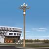 Nueva Lámpara Magnolia Nueve Fuegos de Ocho Brazos 10.12m Carretera Plaza Lámpara de Paisaje Comunidad Exterior Fabricante de Iluminación China
