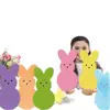 Nuevo letrero de jardín de Pascua 2027 con tema de conejo colorido Decoraciones para fiestas navideñas para césped exterior