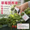 Solución Nutritiva para Fresas para Fresas en Maceta Caseras Cuidado Diario en Spray Suministro Nutricional Ayudante Esencial para la Jardinería