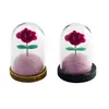 Decoración de Colgantes DIY Accesorios Flor Rosa del Principito Kit de Materiales Adorno de Tapa de Vidrio Mini