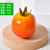Simulación Manzana Falsa Accesorios de Utilería para Disparos Decoración Rama Decoración Diseño de Escena Simulación Fruta Molde Fruta Falsa