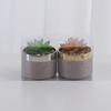 Directo de fábrica maceta para planta carnosa personalizable gruesa certificación BSCI exportación escritorio Balcón decoración