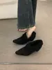 Zapatos de felpa para mujer con plataforma interior y forro de felpa, zapatos de algodón estilo Birkenstock, colección otoño/invierno 2025, mocasines de tacón alto, zapatos de felpa de un solo color