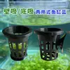 Cesta de Plantación para Acuario con Ventosa Soporte para Plantas Hidropónicas Cesta Decorativa de Pared para Plantas Acuáticas Anillo de Fijación Cesta de Plantación Algodón de Plantación