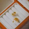 Novos Brincos de Design de Ponta Transfronteiriços em Forma Natural de Gota, Brincos Simples de Aço Titânio Modernos e Versáteis