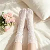 Medias de Encaje Más Vendidas Transfronterizas Calcetines para Mujer Verano Malla Fina Calcetines de Media Pantorrilla Mary Jane