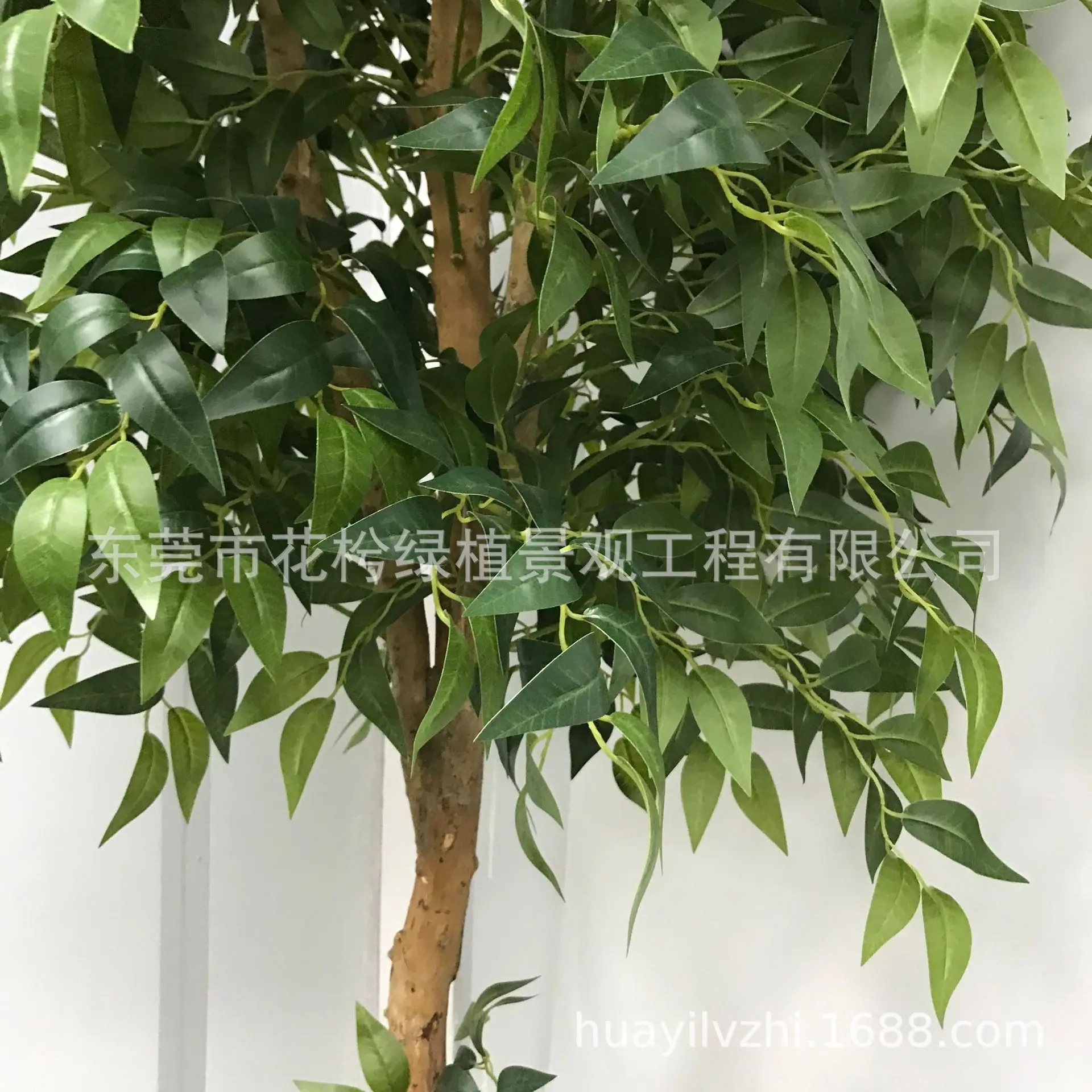 微信图片_20210528094453