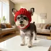 Sombrero a prueba de viento, popular, cálido, de gran venta para otoño e invierno, accesorio para la cabeza de Bulldog Francés, sombrero de perro tejido de nuevo estilo transfronterizo para mascotas para Halloween