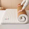 Colchão de dormitório estudantil, almofada macia, tapete dobrável para uma pessoa, adequado para uso doméstico e de aluguel, tapete de rattan tatami de dupla finalidade