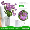 Enredadera Artificial de Gloria de la Mañana Transfronteriza Simulación Artificial Ramo Pequeño de 7 Puntas Decoración de Paisajismo de Bodas Decoración de Interiores Amazon