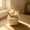 Vaso de Suculenta Esmaltado Zibo, Ornamento de Flor de Vidro, Planta Verde, Presente de Dia das Mães, Decoração Artesanal