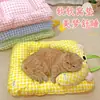 Esterilla para Cama de Perro, Esterilla para Dormir de Perro, Uso en Todas las Estaciones, Esterilla Macarrón para Dormir en Verano, Esterilla para Cama de Gato, Esterilla a Cuadros para Acostarse de Gato