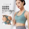 Sujetador Deportivo Transpirable de Alta Elasticidad Transfronterizo Europeo y Americano Push-Up Nuevo Estilo Talla Grande Fitness Espalda Hermosa Ropa Interior de Alta Intensidad