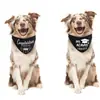 Suministro Exclusivo Transfronterizo para la Temporada de Graduación 2026 Pañuelos para Mascotas, Baberos Conmemorativos de Graduación para Perros, Accesorios para Mascotas Temu