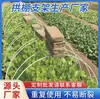 Estructura de soporte para invernadero arqueado agrícola, postes de fibra de vidrio, postes de arco para invernadero, postes de celosía de fibra de vidrio para cultivo de vegetales y vegetales y frijoles caseros