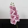 Nova Orquídea de Renda com 7 Flores Impressa em 3D com Textura de Filme de Alta Qualidade, Flor Artificial para Exportação, Flor Artificial