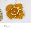Pinha Chips de Madeira Folhas Flores Secas Frutas Secas Conjunto Combinado Decoração Criação de Ambiente para Jardim de Infância Pequenos Enfeites Adereços para Fotografia Retro