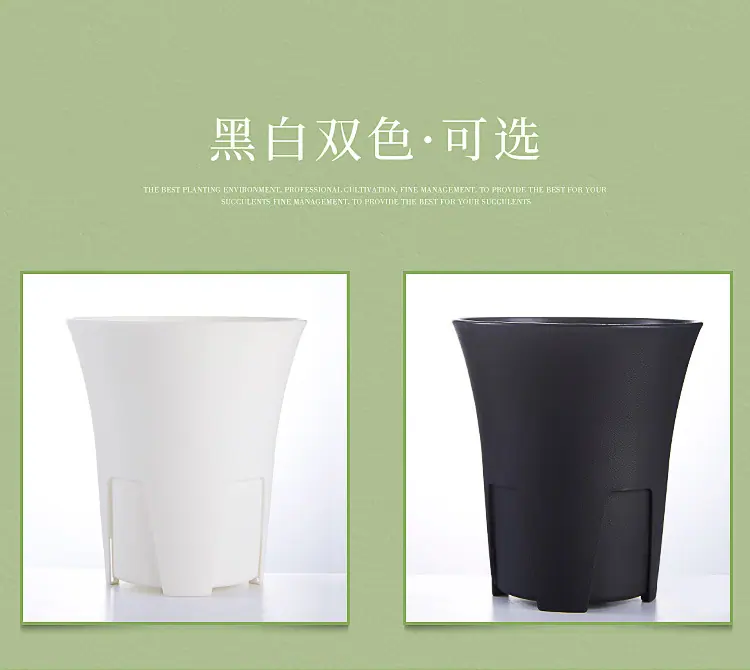 控根万象盆_07