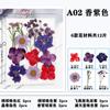 Bolsa de material para marco de fotos de flores secas en relieve, venta al por mayor, flores prensadas, hecho a mano, bricolaje, flor real, espécimen de planta