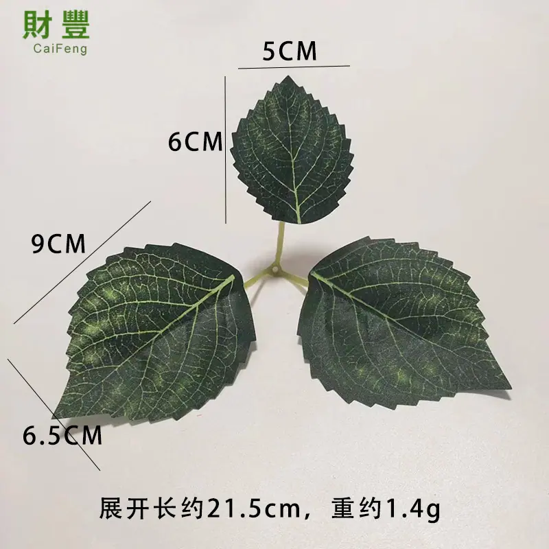 三叉绣球叶1.jpg