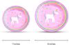 Set de Decoración de Suministros para Fiesta de Unicornios Platos de Papel Vasos de Papel Servilletas de Papel Mantel de Plástico Cuchillo Tenedor Cuchara Disponibilidad Inmediata