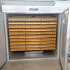 Máquina automática para incubar huevos de gallina, pato, ganso y paloma, 5280, Guangdong, Shantou, Chenghai, con cabeza de león y ganso.