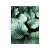 Nórdico simple planta tropical hoja verde maceta pintura decorativa letra pintura de pared sala de estar sofá pared de fondo mural sin marco