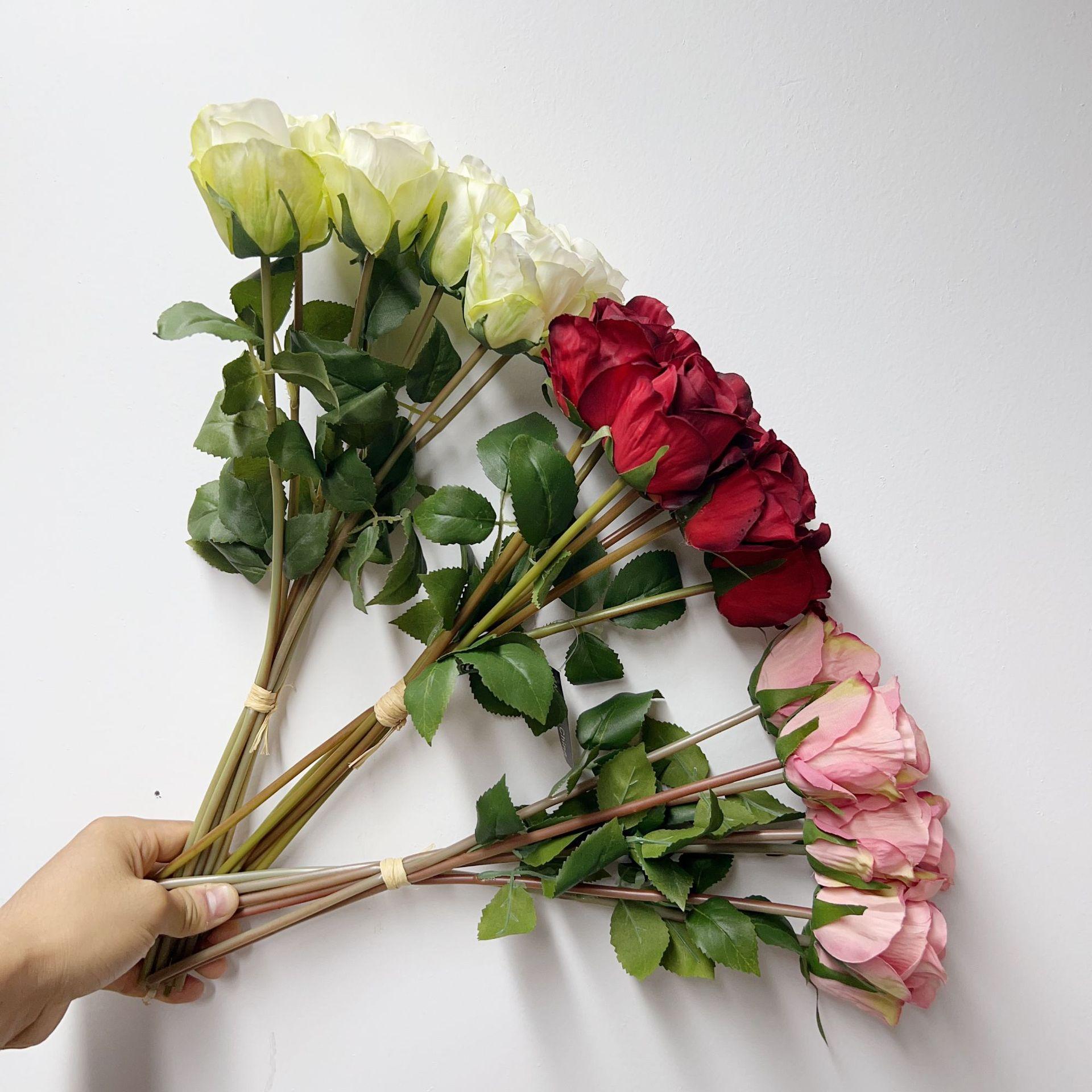 微信图片_20230913114142