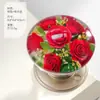Manija Decorativa de Resina para Puerta de Gabinete y Armario, Manija de Puerta con Artesanía de Resina Incrustada, Manija de Puerta de Bola de Cristal