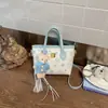 Bolsa feminina de nicho estilo estrangeiro, nova moda 2026, bolsa de mão pequena super popular para trabalho, bolsa de ombro e transversal tipo balde