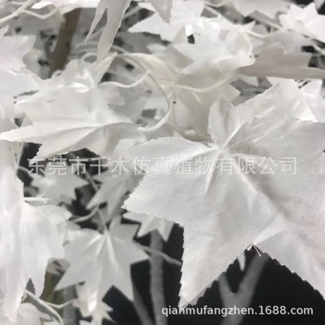 微信图片_201911252118543