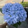 Fabricantes de hortensias flores azules para boda recomendadas todo tipo de hortensia azul rosa con flores flores artificiales al por mayor