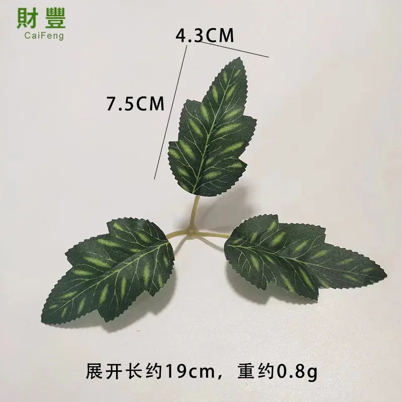三叉花点菊叶1.jpg