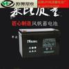 Batería Sail 12V40AH almacenamiento de energía batería libre de mantenimiento 6-GFM-40 pantalla CC/UPS especial correo gratuito