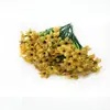 Flores Artificiais Amazon 5 Cabeças Flores de Grama de Primavera 5 Cabeças Plantas Aquáticas Flores de Tecido Impresso de Seda 5 Cabeças Violetas Flores Artificiais Transfronteiriças de Engenharia